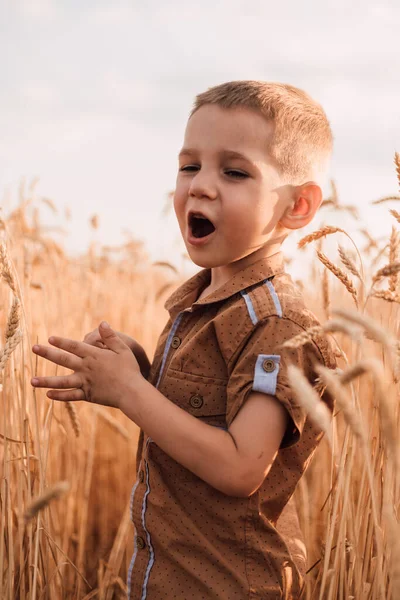 Un bambino si trova in un campo di grano e urla — Foto Stock