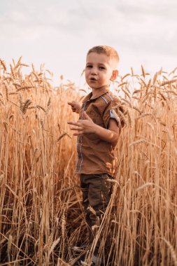 Küçük bir çocuk gökyüzünde buğdayla bir tarlada duruyor.