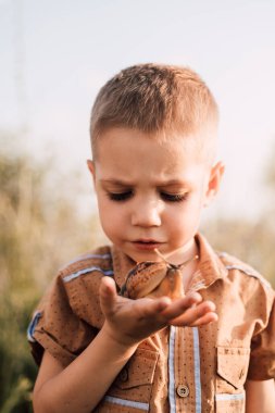 Ciddi küçük bir çocuk doğada bir salyangoz tutuyor.