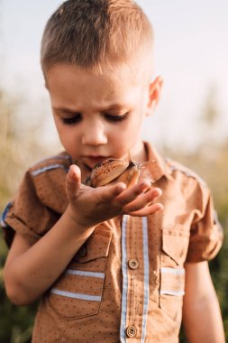 Ciddi küçük bir çocuk doğada bir salyangoz tutuyor.