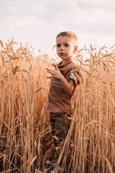 Ένα μικρό παιδί στέκεται σε ένα χωράφι με σιτάρι στον ουρανό — Φωτογραφία Αρχείου