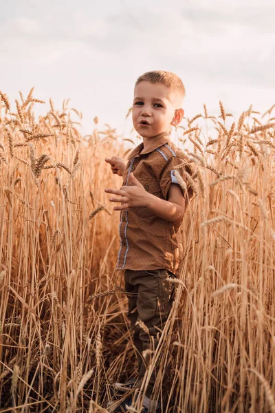 Küçük bir çocuk gökyüzünde buğdayla bir tarlada duruyor.