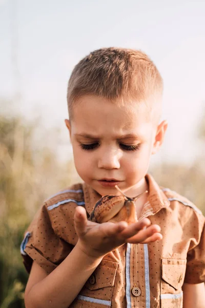 Ciddi küçük bir çocuk doğada bir salyangoz tutuyor.