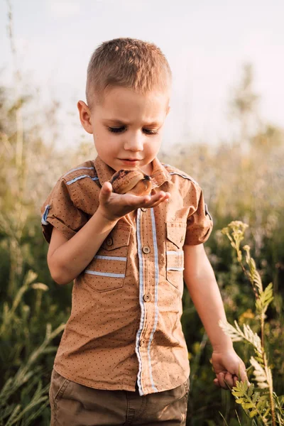 Ciddi küçük bir çocuk doğada bir salyangoz tutuyor.