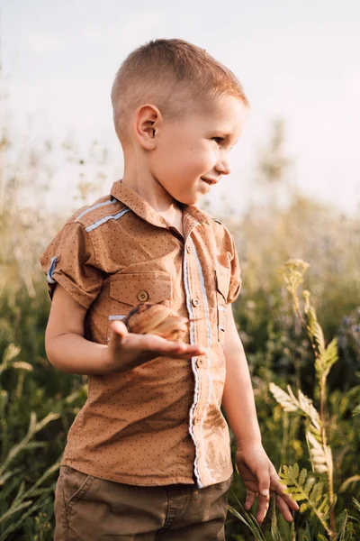 A little boy stands in the grass in nature and holds a snail in his hand — Foto Stock