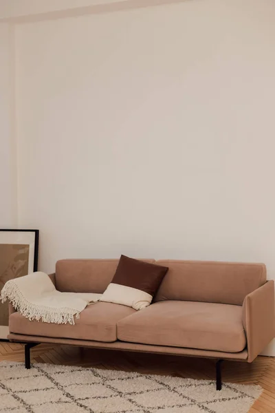 Un divano beige si trova vicino a una parete bianca accanto a un fiore verde — Foto Stock