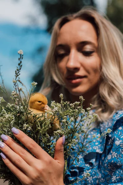 Schöne Mädchen mit Wildblumen und Entlein in ihren Händen — Stockfoto