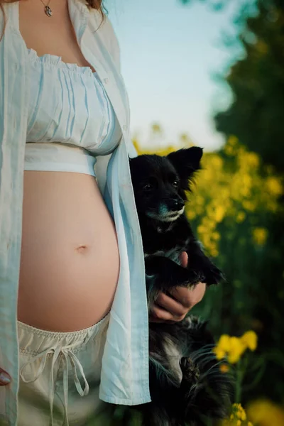 La pancia di una ragazza incinta sullo sfondo della natura con un cane — Foto Stock