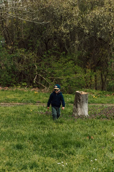 Güzel yeşil çimenler ve arka planda yaşlı bir kütük. Bir çocuk yalnız yürür. Yeşil çimlerin üzerinde yürüyor.