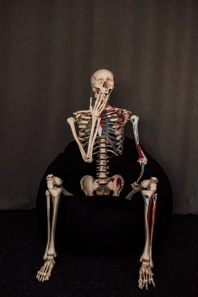 Человеческий Скелет Сидит Стуле Подпирая Голову Рукой Высокое Качество Фото — стоковое фото