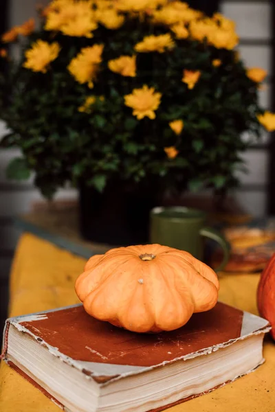 Orange pumpkin lies on a book next to yellow chrysanthemums. High quality photo