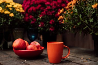 Bir fincan, bir tabak elma, ahşap bir masada kasımpatı. Yüksek kalite fotoğraf