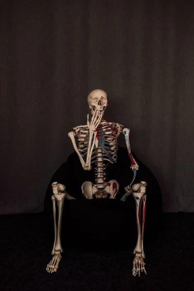 Esqueleto Humano Senta Numa Cadeira Levantar Cabeça Com Mão Foto — Fotografia de Stock