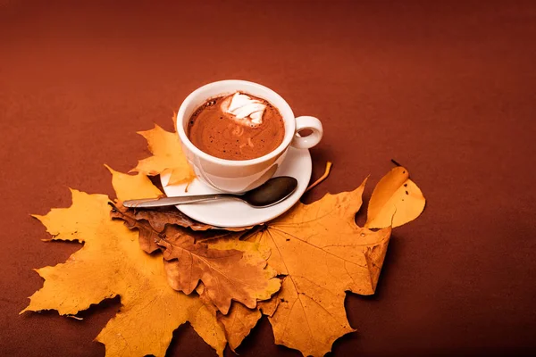 Golden Autumn Composition Yellow Leaves Cup Cocoa High Quality Photo — Φωτογραφία Αρχείου