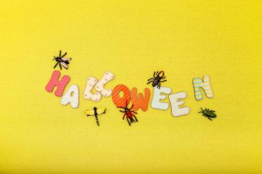 Sarı arka planda sonbahar kompozisyonu. Cadılar Bayramı ve böcekler. Yüksek kalite fotoğraf