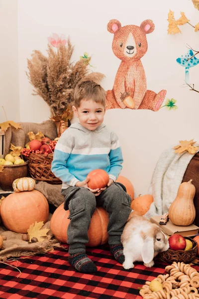 Boy Sits Large Pumpkin Holding Small Pumpkin His Hands Rabbit — Stock Photo, Image