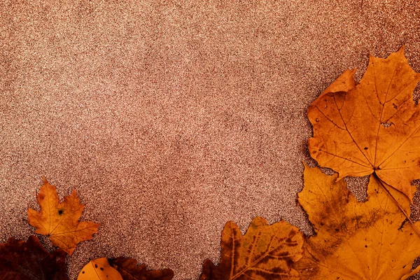Kahverengi bir sonbahar kompozisyonu üzerinde sarı sonbahar yaprakları. Yüksek kalite fotoğraf
