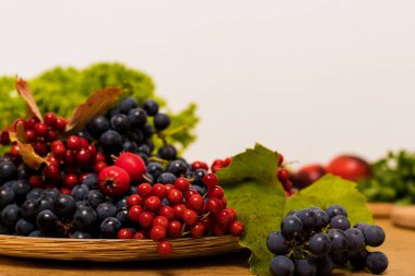 Bir tabakta mavi üzüm ve viburnum sonbahar kompozisyonu. Yüksek kalite fotoğraf