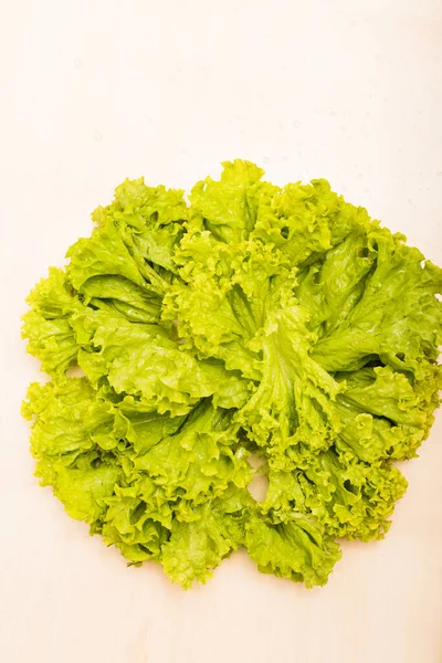 Green lettuce leaves on a white background. Lettuce. Top view. High quality photo