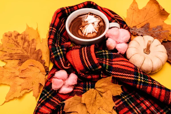 杯子周围躺着一条红围巾和秋天的黄叶 秋天的组成一杯咖啡与棉花糖和南瓜的黄色背景 高质量的照片 — 图库照片