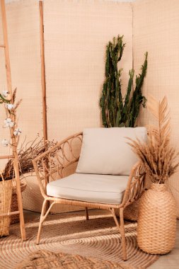 Koridordaki koltukta ve kaktüste modern iç mekan. Yüksek kalite fotoğraf