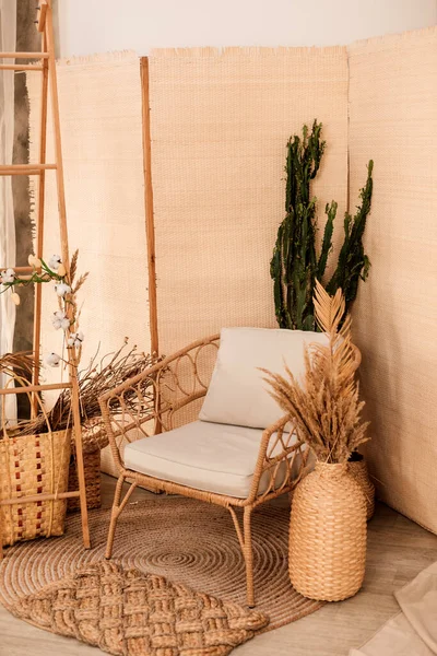 Koridordaki koltukta ve kaktüste modern iç mekan. Yüksek kalite fotoğraf