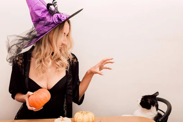 セクシーな魔女は猫ハロウィンマジックを連想させます 高品質の写真 — ストック写真
