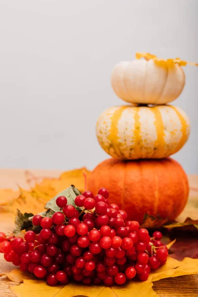 Halloween Narancs Fehér Tök Őszi Leveleken Top View Kiváló Minőségű — Stock Fotó