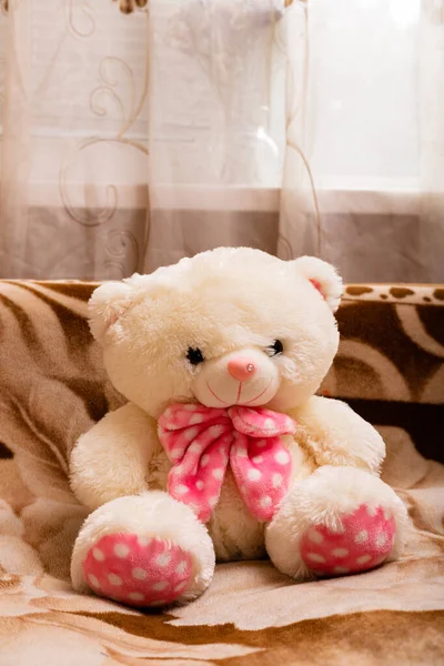 Polar Teddy Bear Pink Bow Couch Retro Style High Quality — Stock Photo, Image