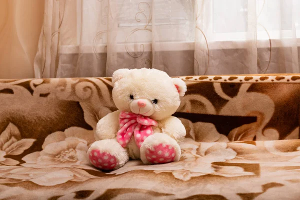 Polar Teddy Bear Pink Bow Couch Retro Style High Quality — Stock Photo, Image
