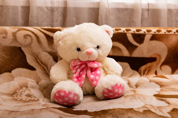 Polar Teddy Bear Pink Bow Couch Retro Style High Quality — Stock Photo, Image