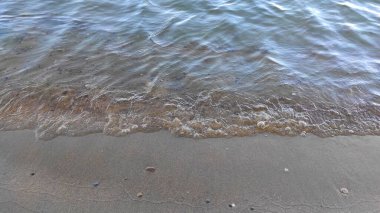 Su, dalga, ıslak kum ve taşlar