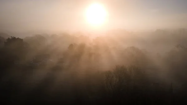 Luftbild Des Nebligen Morgens Über Dem Park Wald West Sussex — Stockfoto