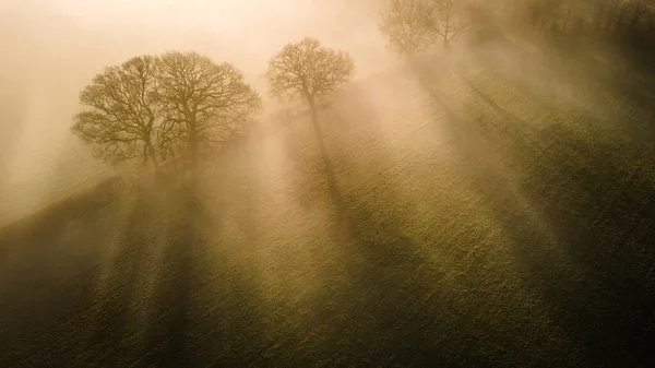 Аэрофото Туманного Утра Над Парком Лес Западный Сассекс Великобритания — стоковое фото