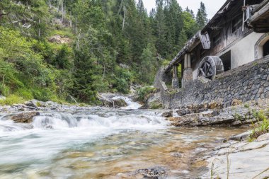 Sapppada yaz sahnesi, doğa manzarası, İtalya