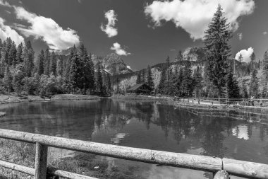 Sapppada yaz sahnesi, doğa manzarası, İtalya