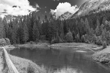 Sapppada yaz sahnesi, doğa manzarası, İtalya