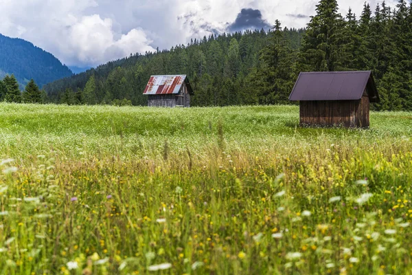 Sapppada Sommer Szene Natur Malerischen Blick Italien — Stockfoto