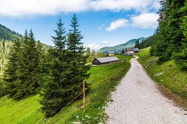 Val di Funes Vadisi, Santa Maddalena Köyü, Trentino Alto Adige Bölgesi, İtalya, Avrupa  