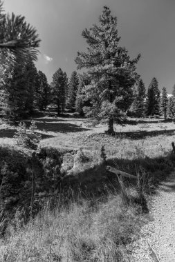 Val di Funes Vadisi, Santa Maddalena Köyü, Trentino Alto Adige Bölgesi, İtalya, Avrupa  