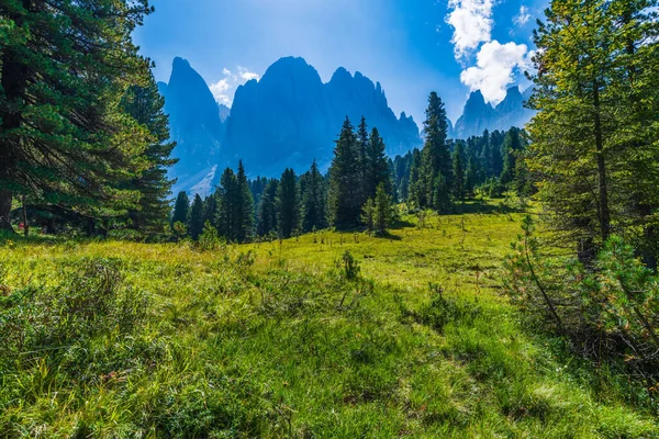 Val Funes Vadisi Santa Maddalena Köyü Trentino Alto Adige Bölgesi — Stok fotoğraf