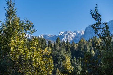 Fall nature at Orrido dello Slizza, Italy