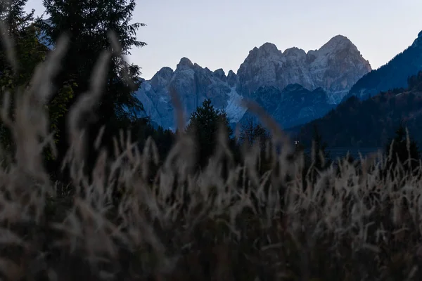 Fall Nature Orrido Dello Slizza Italy — ストック写真