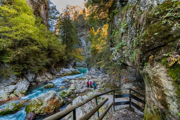 Fantastisk Natur Orrido Dello Slizza Område Nära Tarvisio Stad Udine — Stockfoto