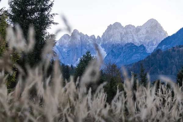 Fall Nature Orrido Dello Slizza Italy — Fotografia de Stock