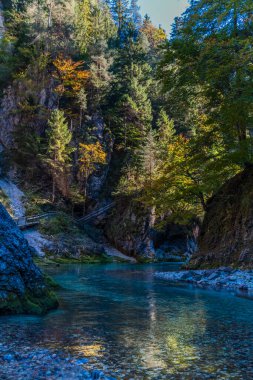 Fall nature at Orrido dello Slizza, Italy