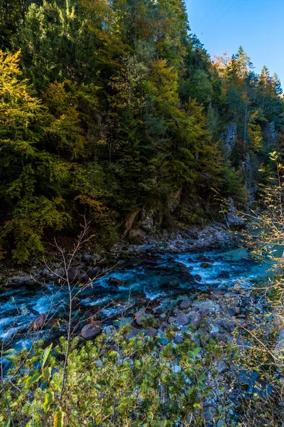 Fall Nature Orrido Dello Slizza Italy — Foto Stock