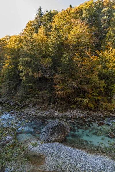 Fall Nature Orrido Dello Slizza Italy — стоковое фото