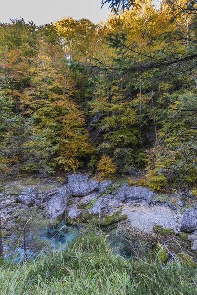 Fall Nature Orrido Dello Slizza Italy — Stock Fotó