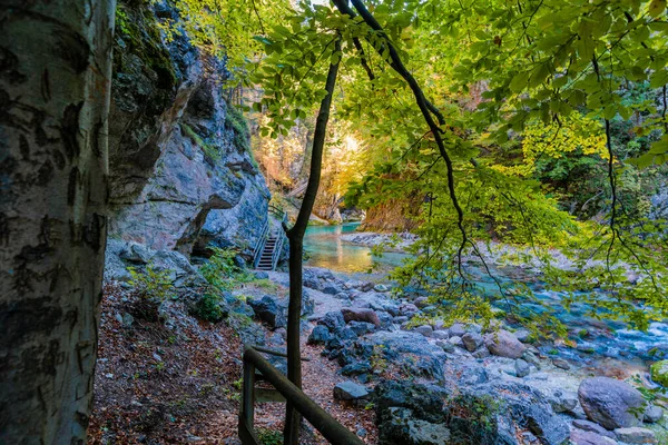 Herbst Natur Orrido Dello Slizza Italien — Stockfoto